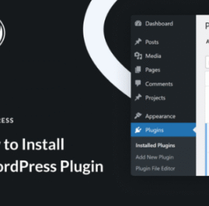 WordPress Plugin Install & Setup 1 plugin